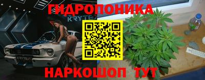 прущие грибы Бугуруслан