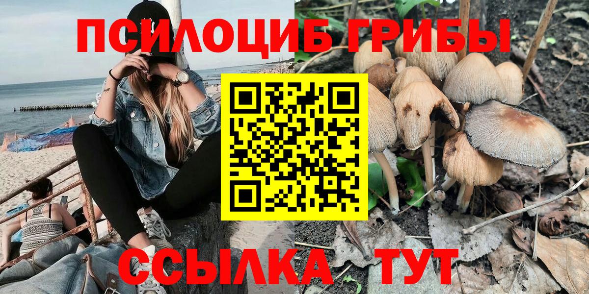 Галлюциногенные грибы мицелий  Вход с VPN  Псилоцибиновые грибы Psilocybe  Ульяновск 